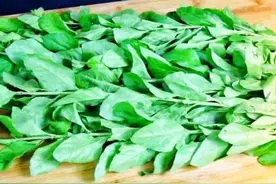 “天然的养肝王”原来是它，养肝护肝，清热去火。图片