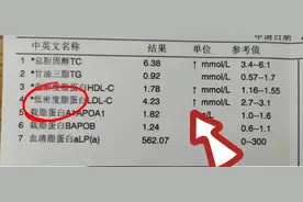 血脂化验单/如何看低密度脂蛋白图片