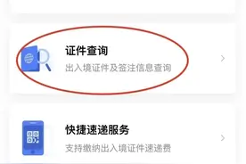指南来了！线上就能查询本人护照信息、有效期、出入境记录图片