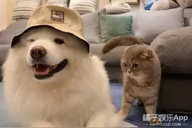 还记得“回忆专用小马甲”博主吗？他现在谈恋爱了？图片