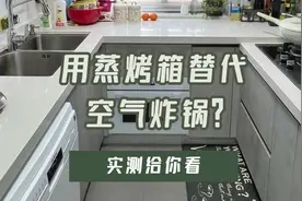 用蒸烤箱替代火爆朋友圈的空气炸锅？实测给你看图片