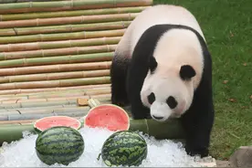 她被誉为“西瓜女王”，袁隆平的校友，让中国人实现了西瓜自由图片