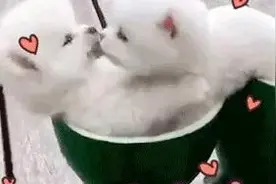 爱你么么哒表情包图片