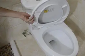 为何冲完马桶后，盖子要盖上？听内行人一讲，发现有点道理图片