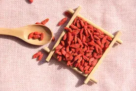 男性长期喝枸杞泡水，对身体有什么好处吗？医生说出了答案图片