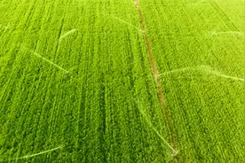 杨凌，波澜壮阔25年图片