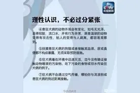 被猫抓伤用打疫苗吗？图片