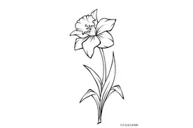 简笔画花卉的画法，分享一些线稿手绘资料图片