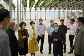 都安党政代表团到深圳考察立体农业与田园综合体项目图片