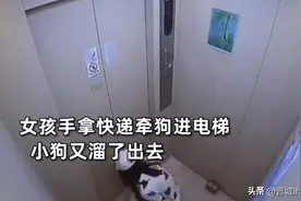 电梯启动，女孩被牵狗绳勒住崩溃求救...图片