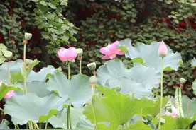 儿女结婚五年后，你会发现“亲家关系”的4个真相图片