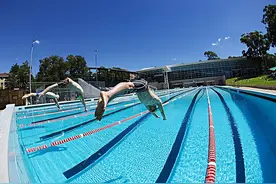 游泳训练（内容篇）图片