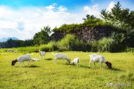 楠溪江旅游：来楠溪江旅游一定要去的9个景点，你都去过吗？图片