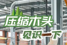 河北广平县：“压缩木头”，见识一下图片