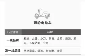 电动车品牌中，雅迪和爱玛到底谁更好？从排名、销量、产品讲明白图片
