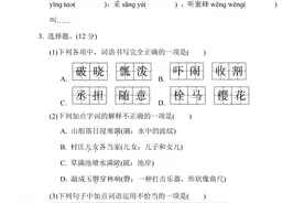 五年级语文（下）第一单元综合素质达标附参考答案图片