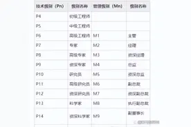 阿里巴巴 P8、P9 及以上到底是什么水平？图片