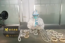 “贝”道而驰 厦门机场海关查获一批砗磲制品图片