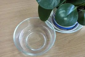 放置隔夜的白开水会致癌，不能喝？超过“保质期”，不建议继续喝图片