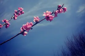 信用卡负债新规图片