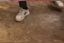 “没有科技狠活，全是真材实料！”大学生自制防脱洗发水，网友千里求购……这次把专业狠狠拿捏了图片