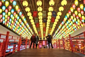 冬风不度灯花巷图片