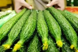 网传：黄瓜被称为“激素瓜”，常吃会中毒还致癌？哪种黄瓜不能吃图片