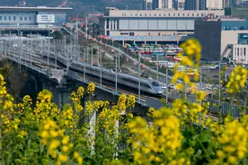 习声回响｜向高品质生活出发 郑万高铁开通倒计时图片