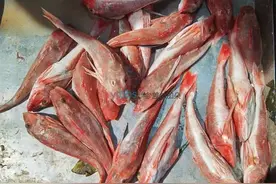 烟台人的餐桌常客，又便宜又好吃图片