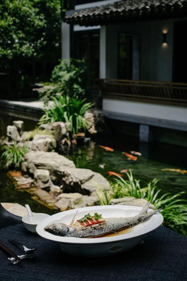 川贝 花胶 2026年川贝花胶汤