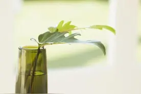 一个人和谁结婚，多半是命中注定的，这3个地方告诉你图片