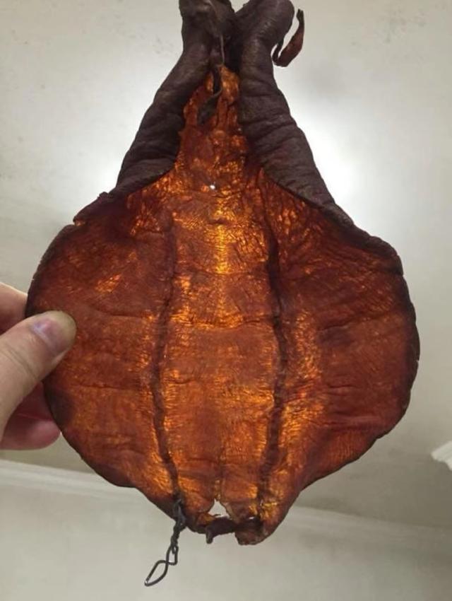 吃花胶二年了 2025年吃花胶二年了能怀孕吗