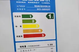 家里海尔冰箱不制冷，自己动手修一下吧图片