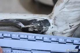 五花八门的“开门杀”，责任怎么认定？图片