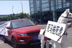 华而不实的5个汽车品牌，车贵还不保值，工薪家庭最好远离图片