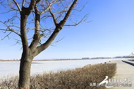 遇见初春的文瀛湖，听冰雪消融的声音，预约一场春日旅行吧！图片