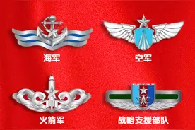 一图认清人民解放军军服胸标图片