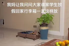放假回家行李箱躺地上被妈妈嫌弃图片