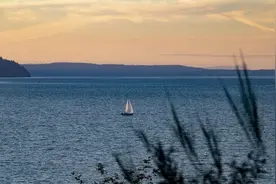 这些“三角形”汉字，你认识几个？图片