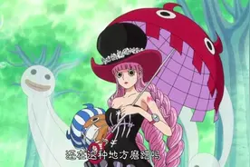 精神粮食！海贼王的“少女漫”视角，索隆女友？路飞初吻？图片