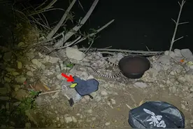 生死一线？江西男子夜钓，误抓银环蛇，男子：摸上去滑腻腻的图片