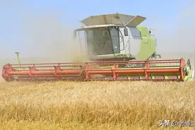 一台联合收割机，在一个麦季能赚多少钱？听农机手怎么说图片