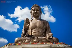 世界最大的释迦牟尼坐佛下，为何会有野生狐狸出现？当地说法不一图片