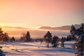 “晚年想住在儿子家，错了吗”听完儿媳的解释，婆婆笑着走了图片