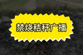 焚烧秸秆广播录音_禁烧秸秆广播宣传录音（广播音频制作）图片