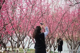 合肥迎“惊蛰”节气 南艳湖公园春和景明「组图」图片