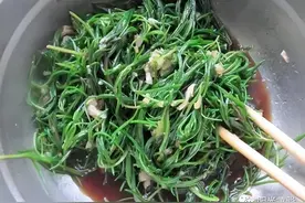 黄骅记忆——十年黄菜情图片