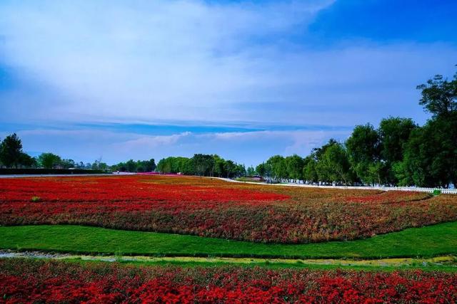 大理这条骑行线，藏着一整个春天的浪漫