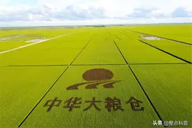 我国最大粮仓北大荒，辛苦开垦了半个多世纪，为什么要退耕还荒？图片