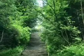 山东枣庄市徐氏图片